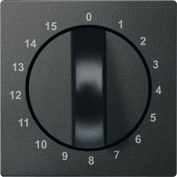 Central plate for time switch insert, 15 min, anthracite, System M image 1