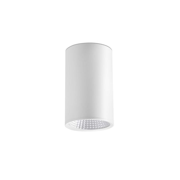 REL WHITE CEILING LAMP LED 25W 2700K 60° image 1