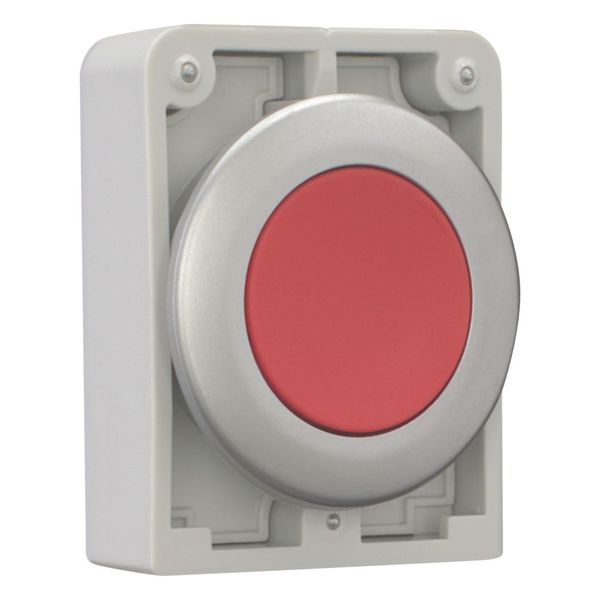 Pushbutton, RMQ-Titan, Flat, momentary, red, Blank, Metal bezel image 6