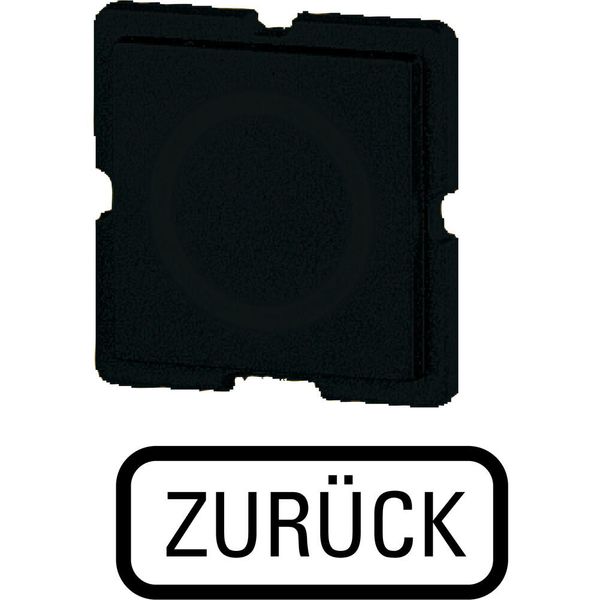 Button plate for push-button, Inscription: ZURÜCK, 25 x 25 image 5