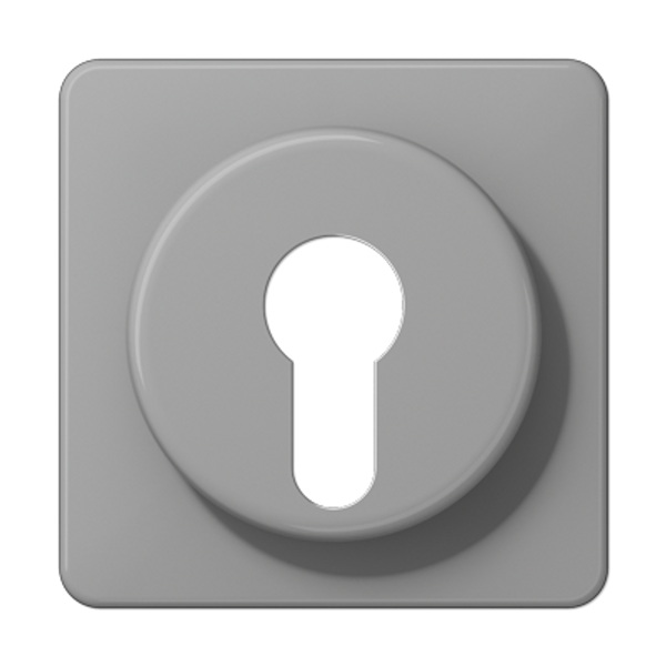 Cover For Key Switch 19115426 image 1