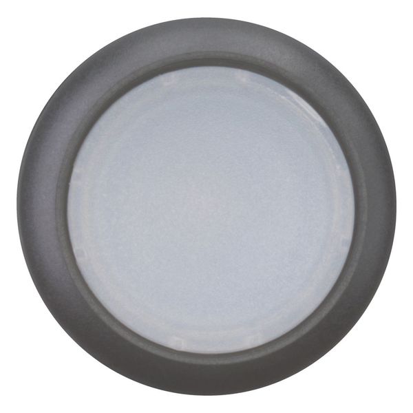 Illuminated pushbutton actuator, RMQ-Titan, Flush, maintained, White, Blank, Bezel: black image 10