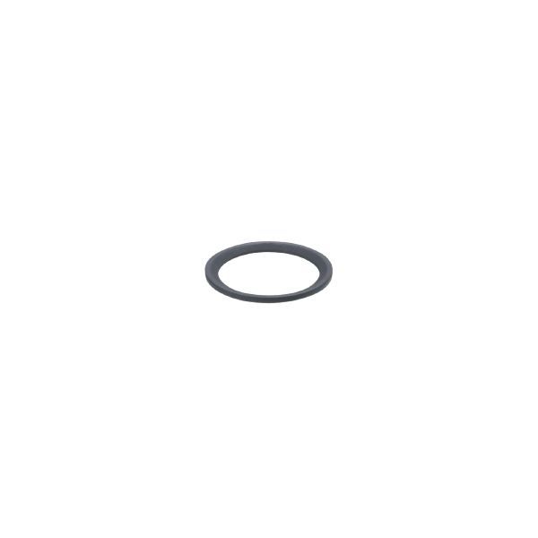 SEAL RING FFKM G1/2 image 1