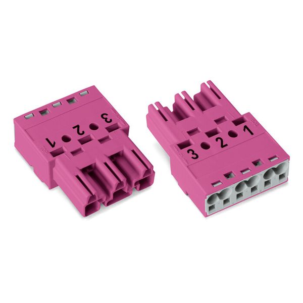 Plug 3-pole Cod. B pink image 1