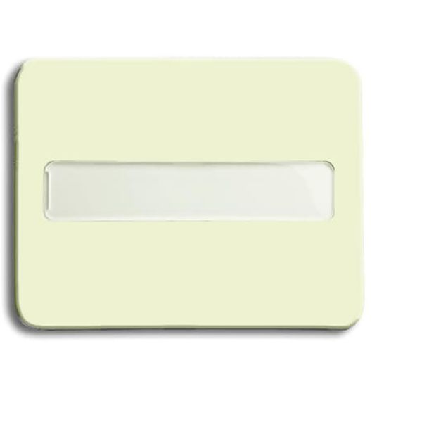1781-22G CoverPlates (partly incl. Insert) carat® ivory image 1