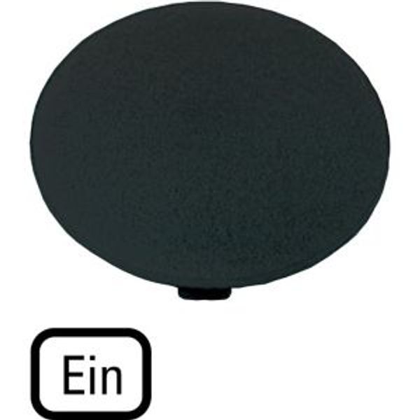 Button plate, mushroom black, ON image 4