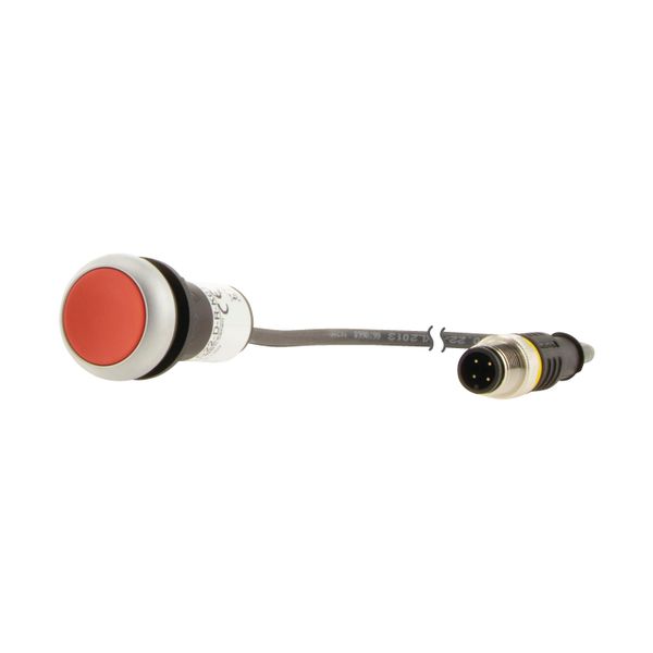 Pushbutton, Flat, momentary, 1 NC, Cable (black) with M12A plug, 4 pole, 0.2 m, red, Blank, Bezel: titanium image 12