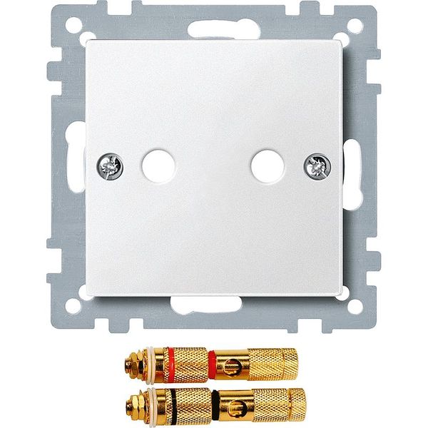 Central plate with high-end speaker connector, polar white, System M image 1