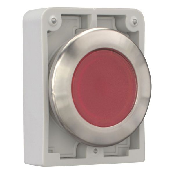 Illuminated pushbutton actuator, RMQ-Titan, flat, momentary, red, blank, Front ring stainless steel image 11