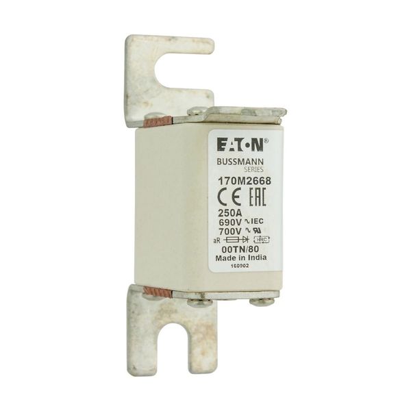 Fuse-link, high speed, 250 A, AC 690 V, DIN 00, aR, DIN, IEC, single indicator, live gripping lugs image 4