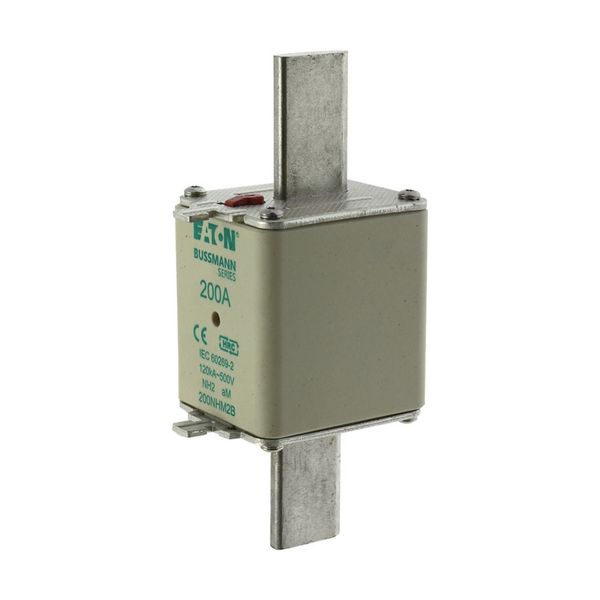 Fuse-link, low voltage, 200 A, AC 500 V, NH2, aM, IEC, dual indicator image 10