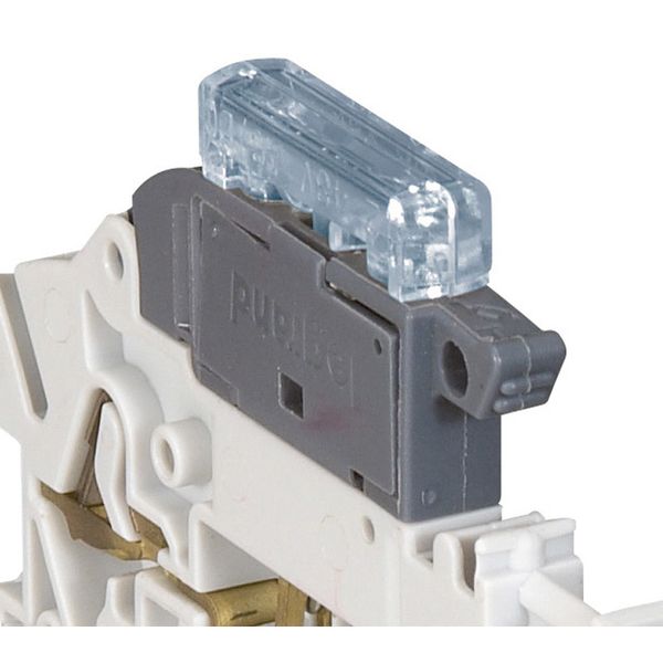 Blown fuse indicators Viking 3 - 110/250 V~ - blocks with fuse cartridge 5x21 image 1