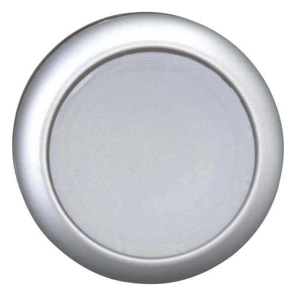 Illuminated pushbutton actuator, RMQ-Titan, Flush, maintained, White, Blank, Bezel: titanium image 4