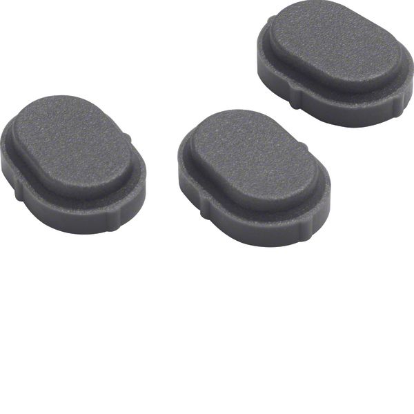 Cover plug for screw holes, W.1, grey matt image 1