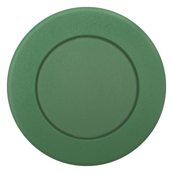 Mushroom actuator, RMQ-Titan, Mushroom, maintained, Mushroom green, green, Blank, Bezel: black image 6