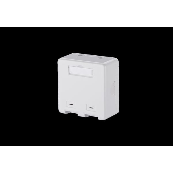 Keystone wall outlet surface mounted 2 port unequipped pure white image 2