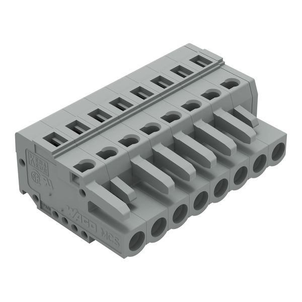 1-conductor female connector CAGE CLAMP® 2.5 mm² gray image 1