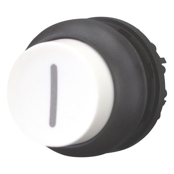 Pushbutton, RMQ-Titan, Extended, maintained, White, inscribed, Bezel: black image 4