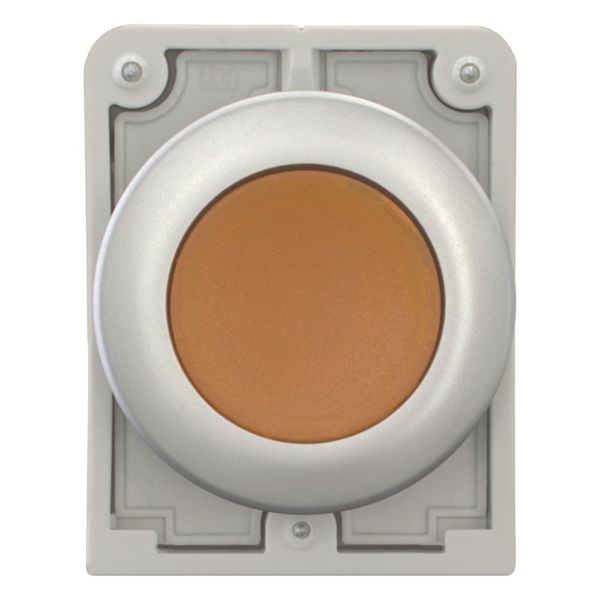 Illuminated pushbutton actuator, RMQ-Titan, Flat, momentary, orange, Blank, Metal bezel image 2