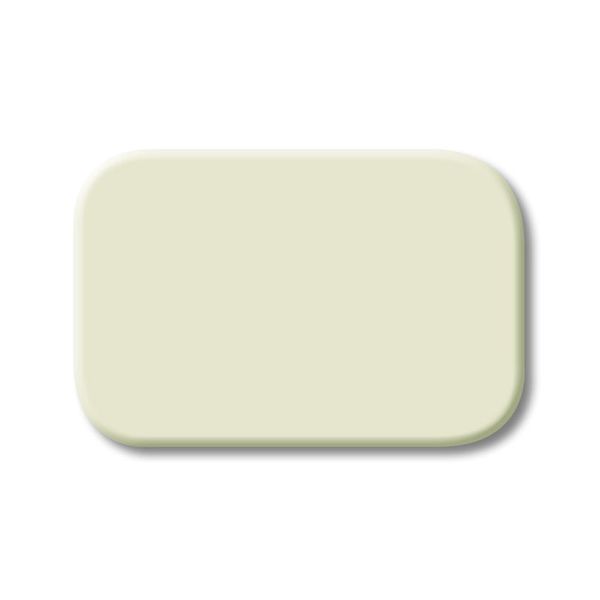 2525 N CoverPlates (partly incl. Insert) carat® White image 1