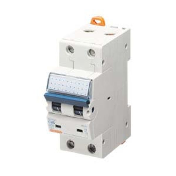 MINIATURE CIRCUIT BREAKER - MT 250- 2P CHARACTERISTIC C 10A - 2 MODULES image 1