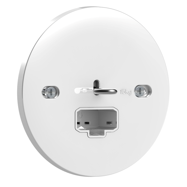 Exxact luminaire outlet DCL flush for ceiling screwless earthed white image 4