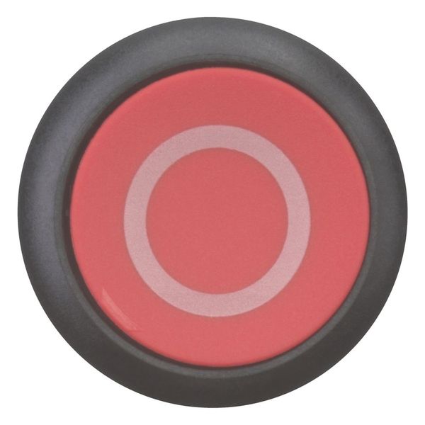 Pushbutton, RMQ-Titan, Flat, momentary, red, inscribed, Bezel: black image 10