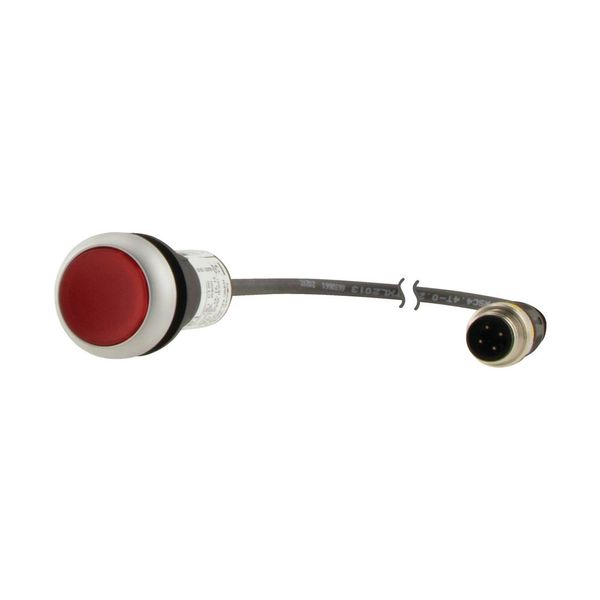 Illuminated pushbutton actuator, Flat, momentary, 1 NC, Cable (black) with M12A plug, 4 pole, 0.2 m, LED Red, red, Blank, 24 V AC/DC, Bezel: titanium image 15