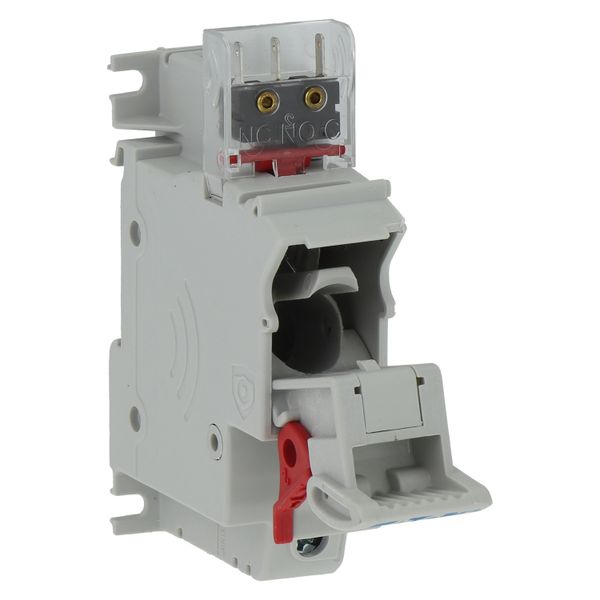 Fuse-holder, low voltage, 50 A, AC 690 V, 14 x 51 mm, 1P, IEC image 33