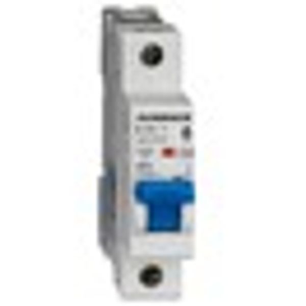 Miniature Circuit Breaker (MCB) AMPARO 10kA, B 40A, 1-pole image 7