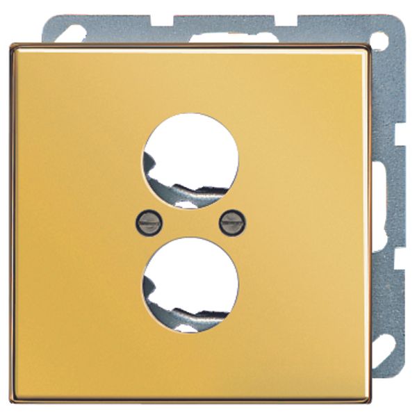 Centre plate for 2 loudspeaker sockets LS962GGO image 1