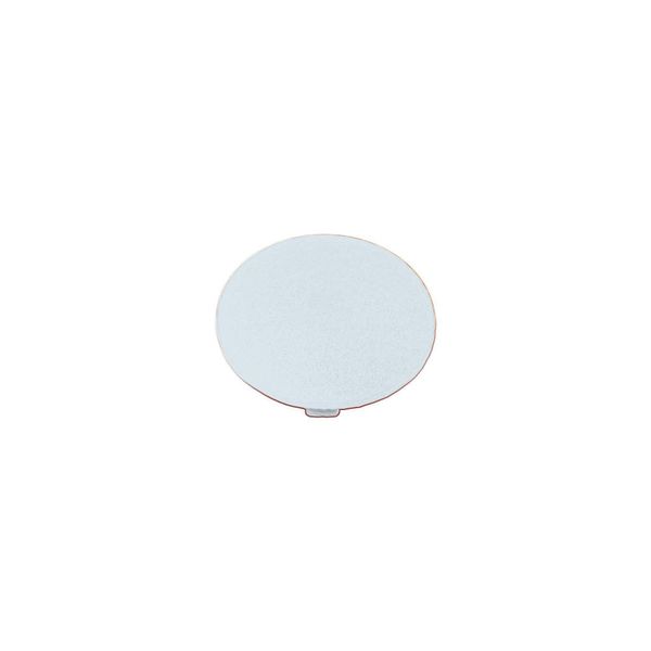 Button plate, mushroom white, blank image 2