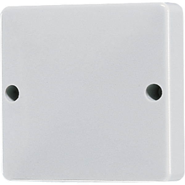 Blank centre plate 600G image 1