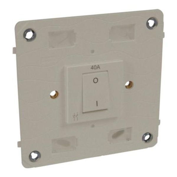 Arteor™ - Double pole switch - 40 A 250 V~ - 4''x4'' - Champagne image 1