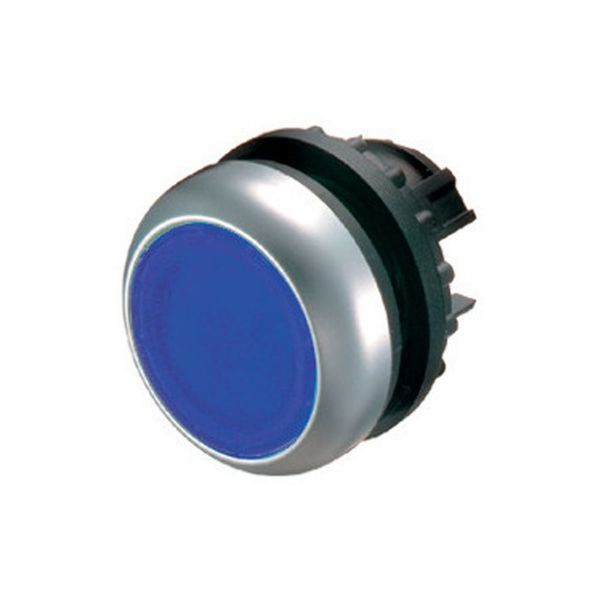 Illuminated pushbutton actuator, RMQ-Titan, Flush, momentary, Blue, Blank, Bezel: titanium image 3