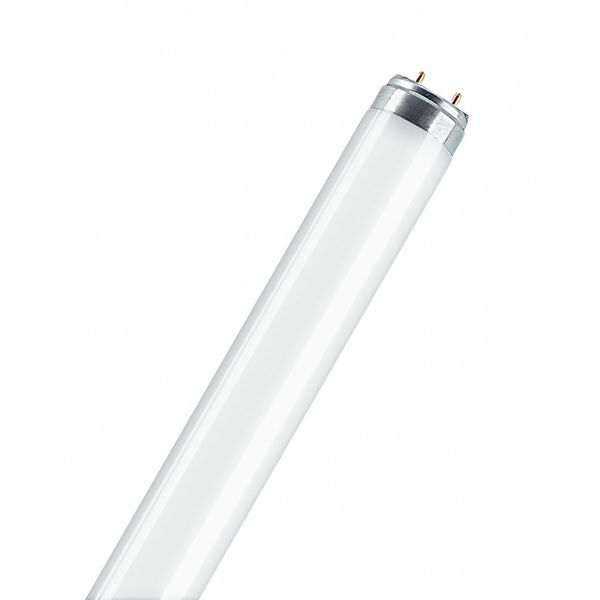 Lumilux T8 Fluorescent Tube 590mm White 18W/835 image 1