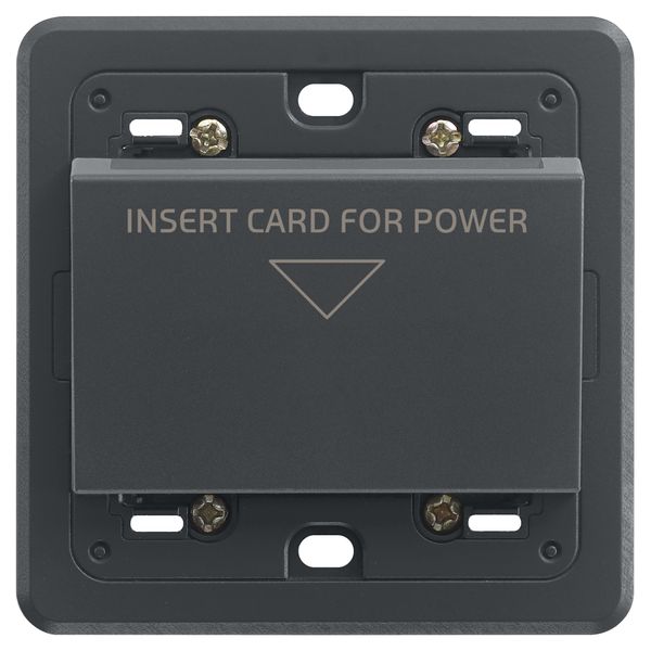 Badge switch 230V grey image 1