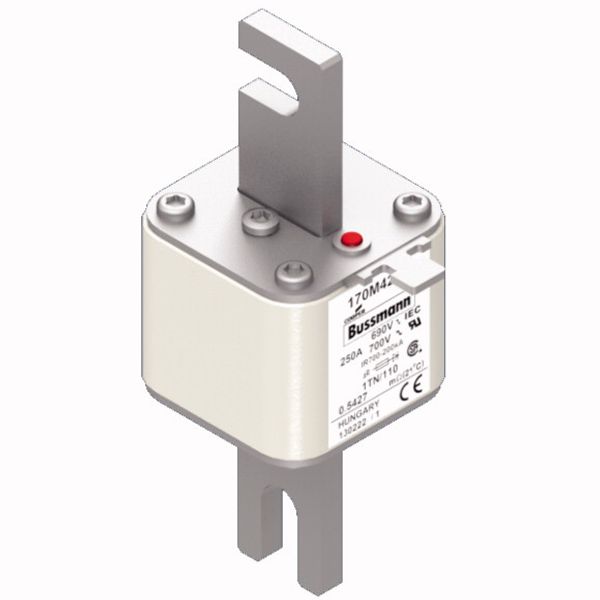 Fuse-link, high speed, 250 A, AC 690 V, DIN 1, 53 x 66 x 138 mm, aR, DIN, IEC, type T indicator image 4