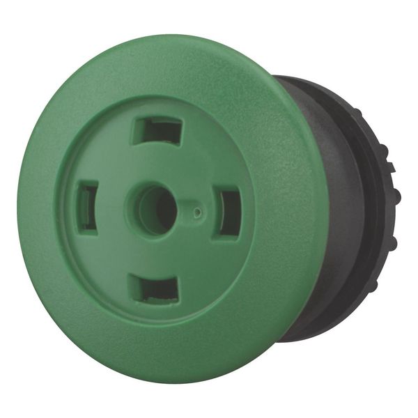 Mushroom actuator, RMQ-Titan, Mushroom, momentary, Mushroom green, Without button plate, Bezel: black image 5