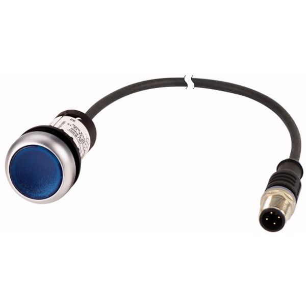 Illuminated pushbutton actuator, Flat, momentary, 1 N/O, Cable (black) with M12A plug, 4 pole, 0.5 m, LED Blue, Blue, Blank, 24 V AC/DC, Bezel: titani image 1