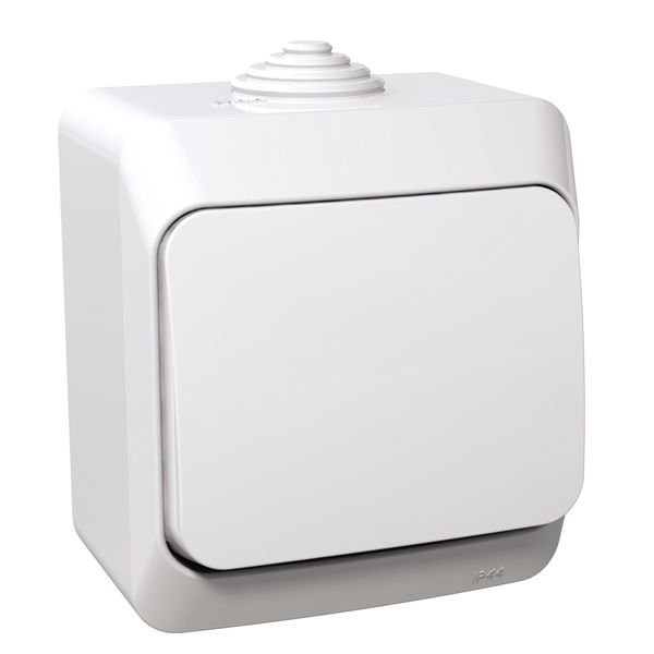 Cedar Plus - intermediate switch - 16AX, white image 4