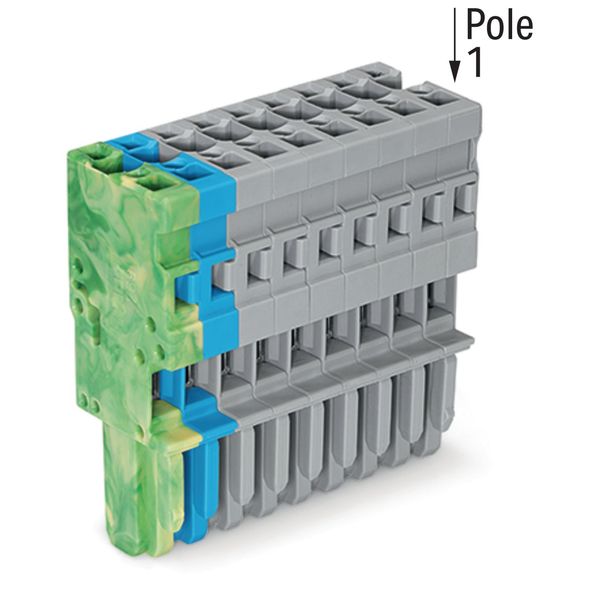 1-conductor female connector CAGE CLAMP® 4 mm² gray/blue/green-yellow image 1
