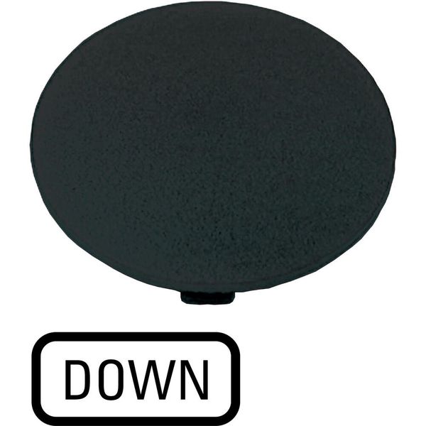 Button plate, mushroom black, DOWN image 2