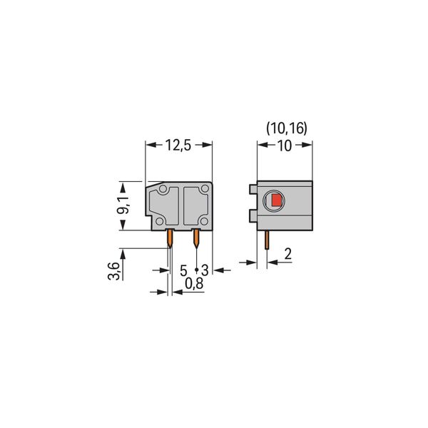 Stackable PCB terminal block 2.5 mm² Pin spacing 10/10.16 mm dark gray image 4