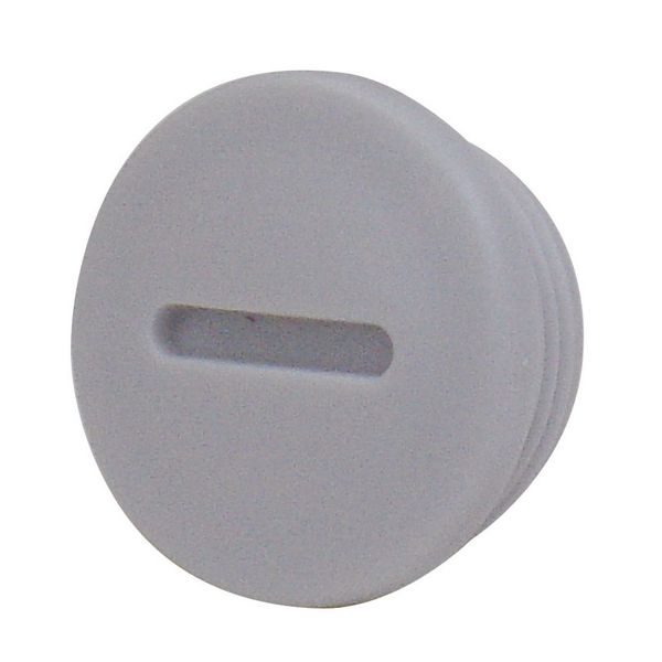 Metric blanking plug M40x1.5 image 1