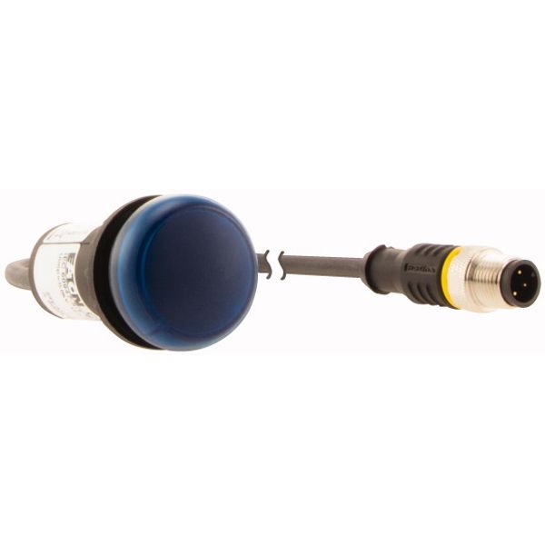 Indicator light, Flat, Cable (black) with M12A plug, 4 pole, 1 m, Lens Blue, LED Blue, 24 V AC/DC image 4