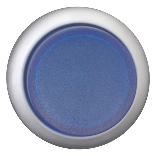 Illuminated pushbutton actuator, RMQ-Titan, Extended, momentary, Blue, Blank, Bezel: titanium image 3