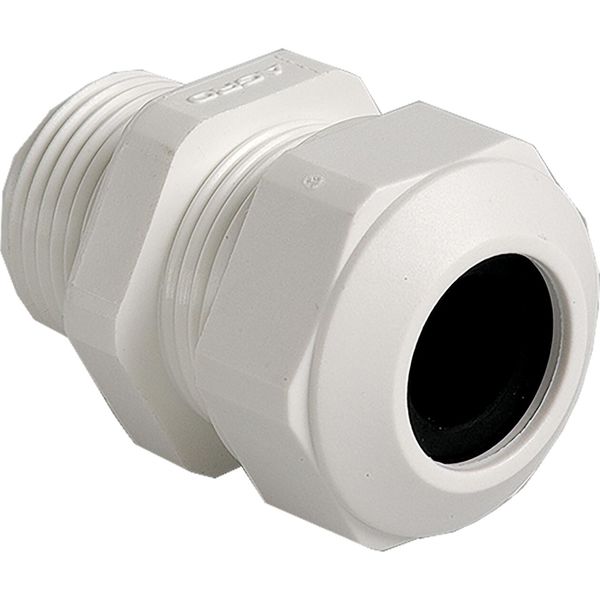Cable gland Progress synth. GFK M25x1.5 White RAL 9010 cable Ø12.5-20.5mm image 1