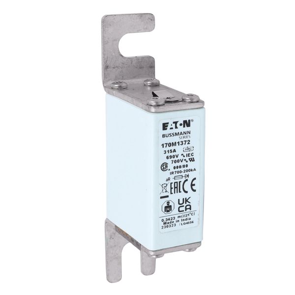 Fuse-link, high speed, 315 A, AC 690 V, DIN 000, 21 x 40 x 100 mm, aR, DIN, IEC, single indicator image 12