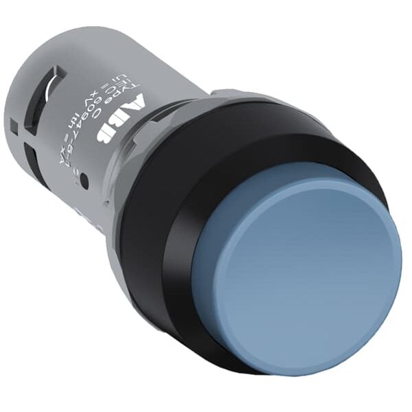 CP3-10W-20 Pushbutton image 1